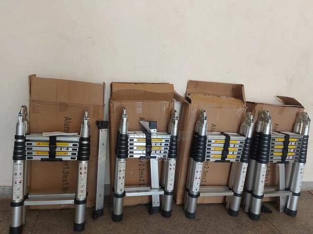 Dual Telescopic Ladder - main view
