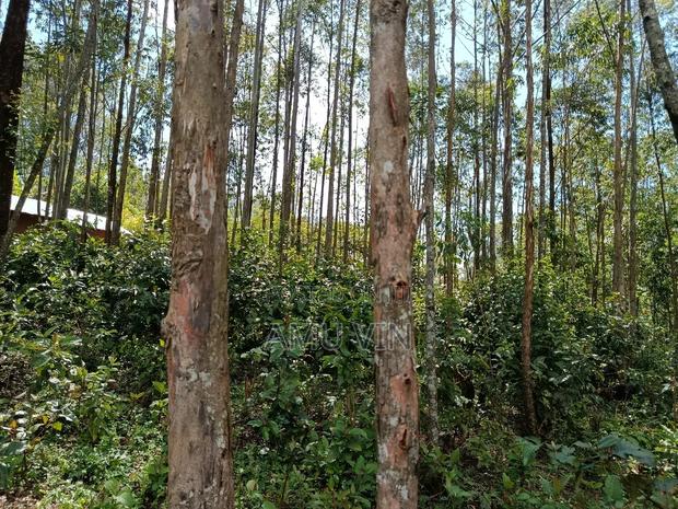 Land Plot ~1/2 Acre In Ikonyero Kakamega
