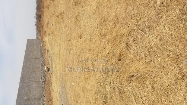 Ready Title - main view