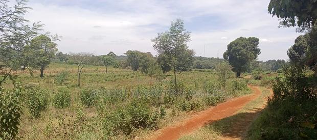 50*100 Plots for Sale in Ngong, Kerarapon Drive. - main view