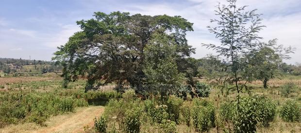 50*100 Plots for Sale in Ngong, Kerarapon Drive. - thumbnail 2