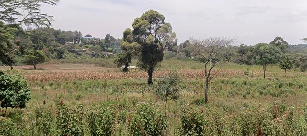 50*100 Plots for Sale in Ngong, Kerarapon Drive. - thumbnail 4