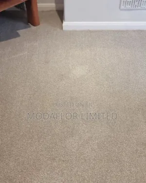 Wall to Wall Carpets for Offices 