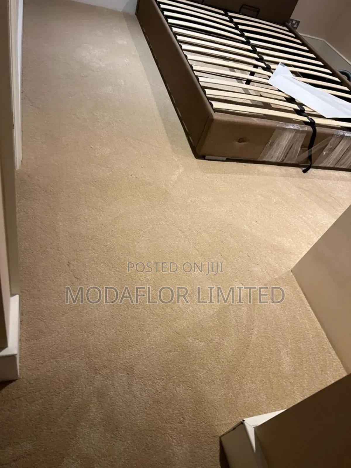 Affordable Home Wall to Wall Carpets – Comfort on a Budget 