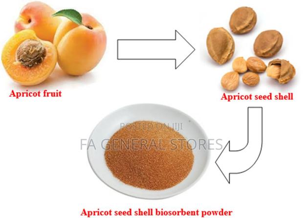 Apricot Seed Powder - main view