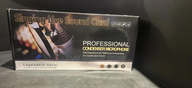 Singing Live Condenser Microphone -V8s - main view