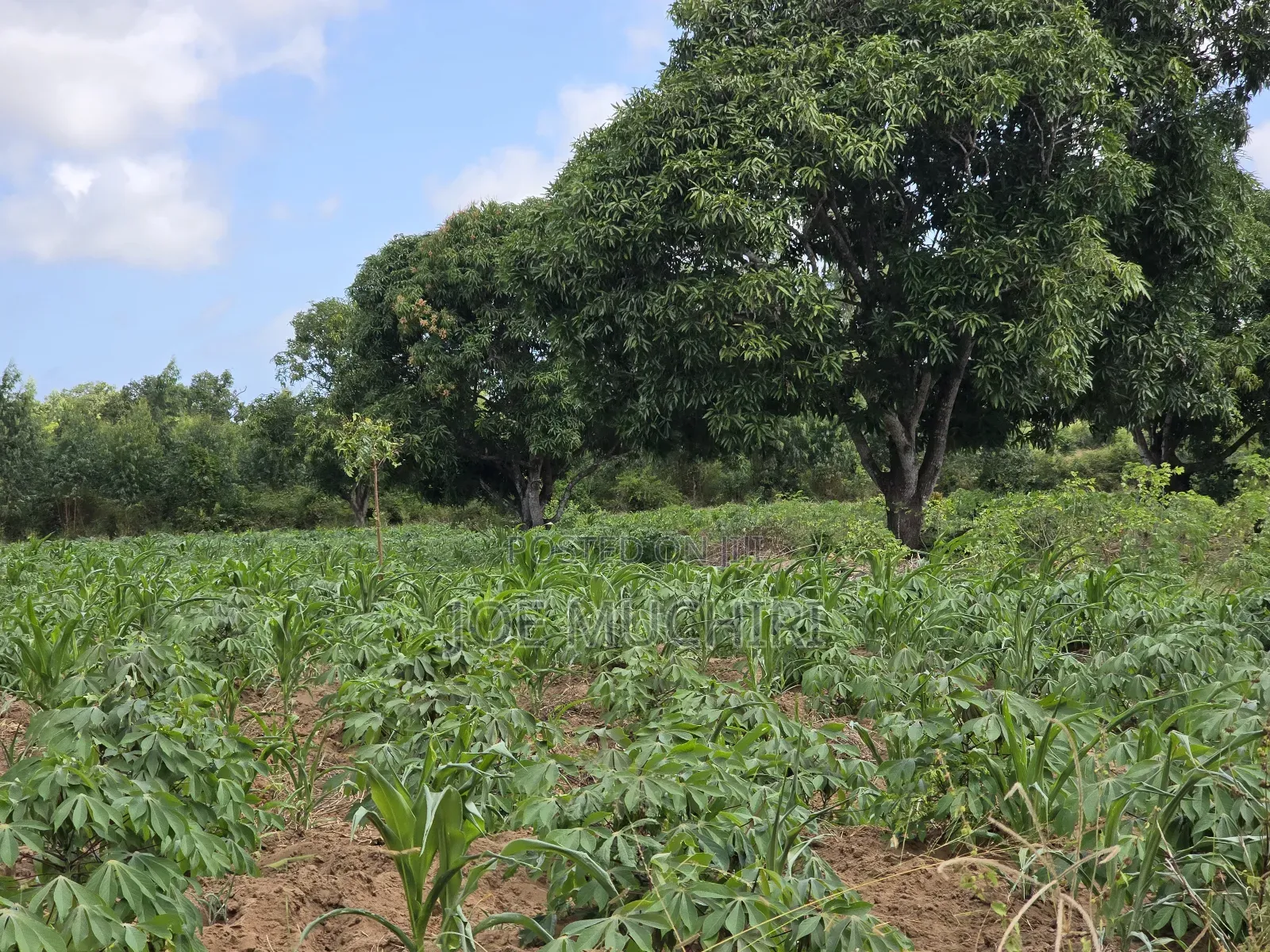 Malindi Affordable Acres for Farming