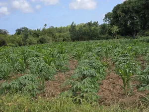 Malindi Affordable Acres for Farming
