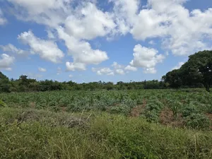 Malindi Affordable Acres for Farming