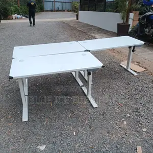 Electric Adjustable Desk