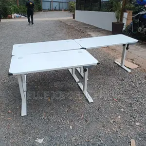 Electric Adjustable Desk
