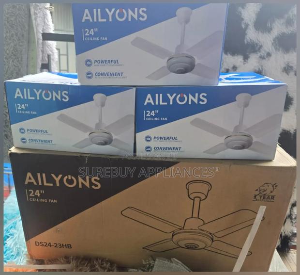 Ailyons 24 Inches Ceiling Fan - main view