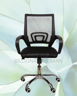 Orthopedic Secretarial Mesh Office Chair — Great for Study or Work