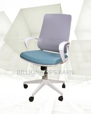 Imported White Ergonomic Mesh Office Chair | Lumbar Support