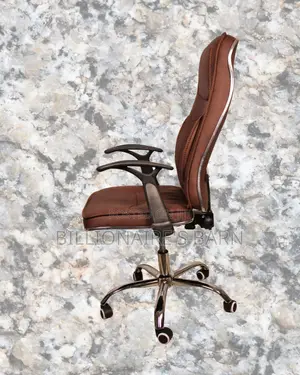 Plush Ergonomic Executive Leather Chair | Padded Armrests