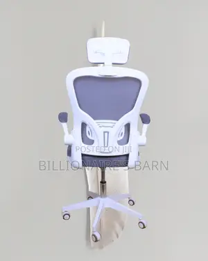 White Ergonomic Office Chair (Quiet-Roll) — Offer Valid This Week