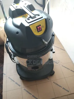 Electric Carpet Cleaner