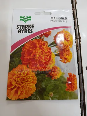 Marigold Dwarf Double Flower Seed