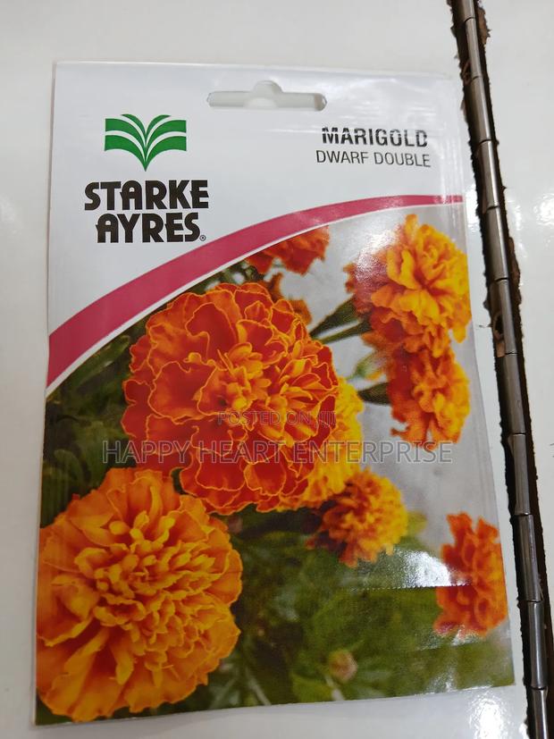 Marigold Dwarf Double Flower Seed - thumbnail 3