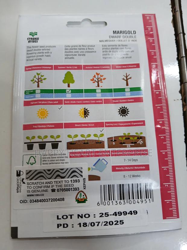 Marigold Dwarf Double Flower Seed - thumbnail 4