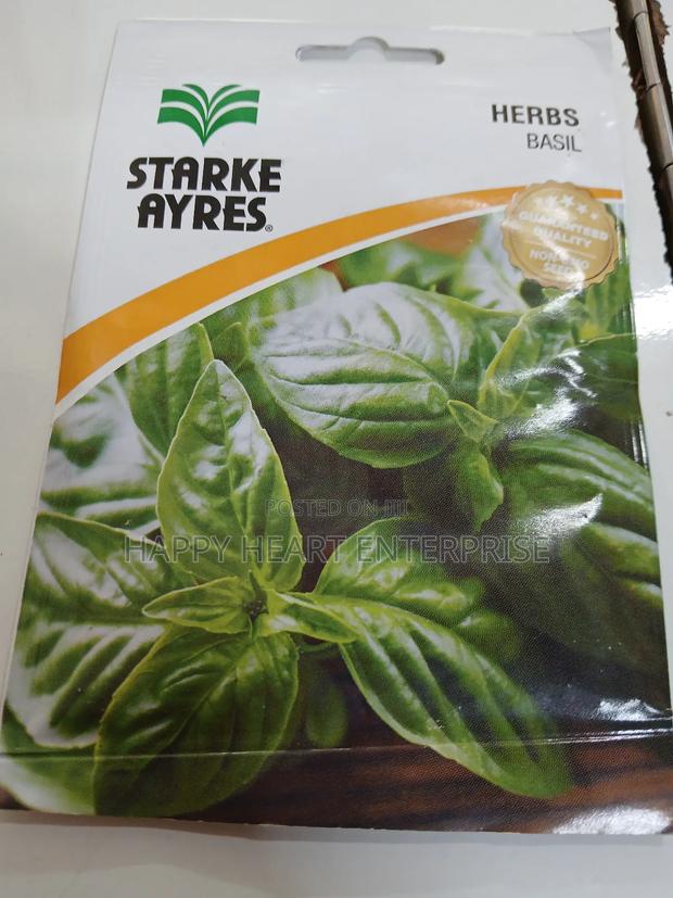 Basil Herb 1g - main view