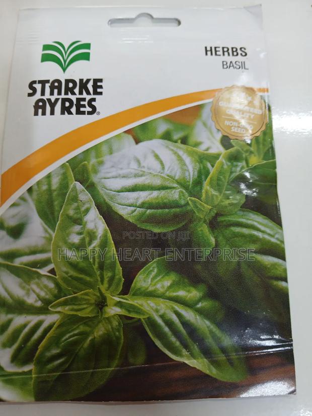 Basil Herb 1g - thumbnail 3