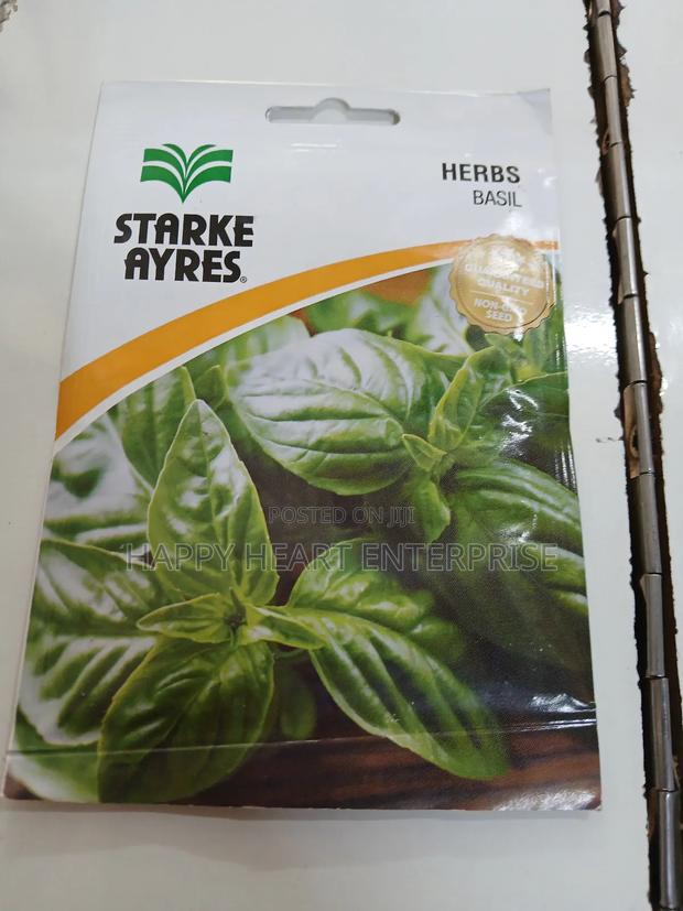 Basil Herb 1g - thumbnail 4