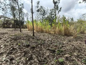 Quarter Acre Plot for Sale in Ngong, Matasia Merisho Naer Tarmac