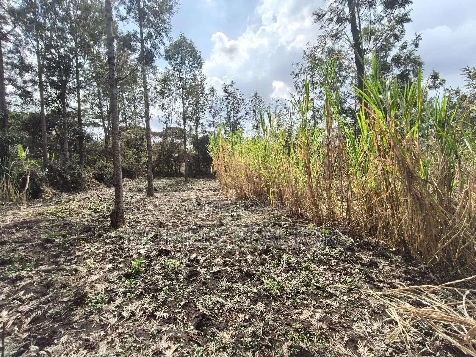 Quarter Acre Plot for Sale in Ngong, Matasia Merisho Naer Tarmac