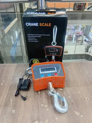 500kg Wireless Crane Scale
