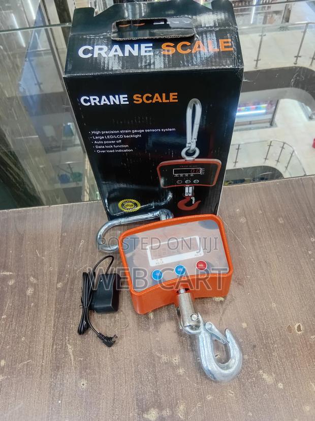 500kg Electronic Crane Scale - main view