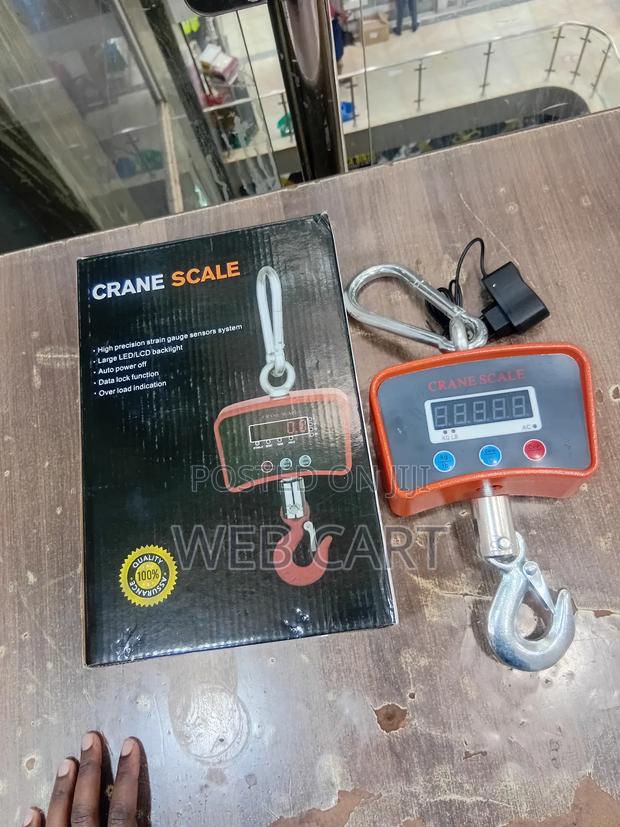 Compact Crane Scale – 500kg - main view