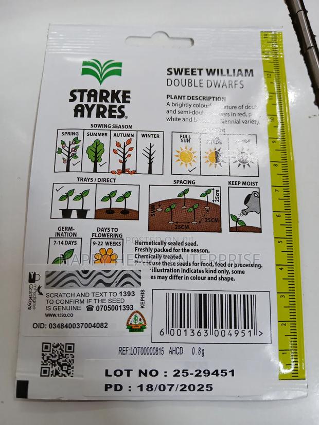 Sweet William Double Dwarfs 1g - thumbnail 5