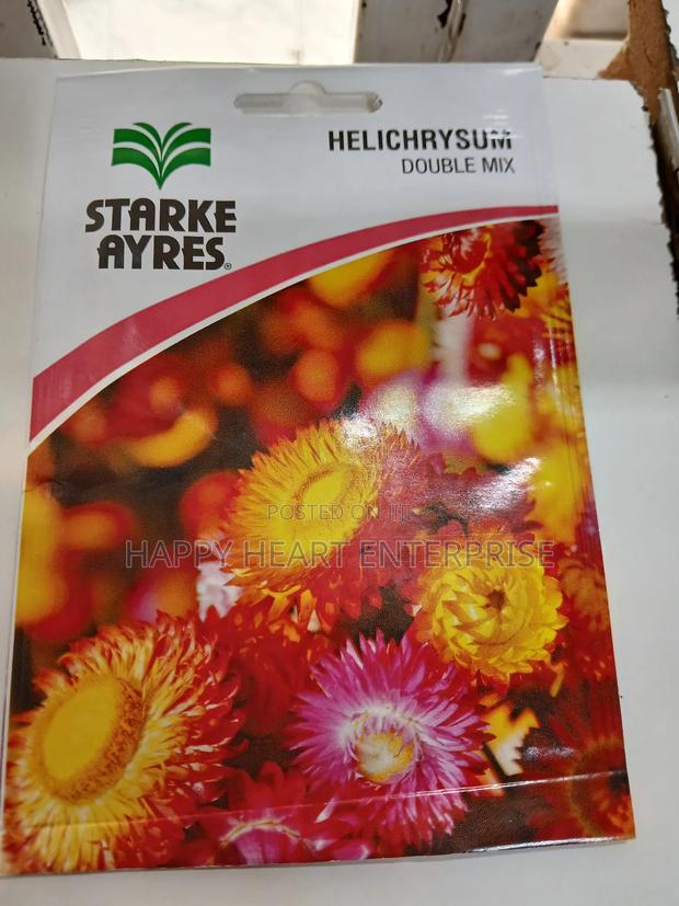 Helichrysum Double Mix Flower 1g - main view