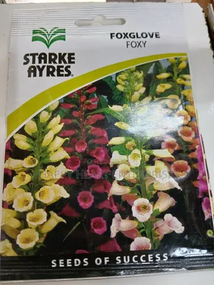 Foxglove Foxy Flower Seed 1g