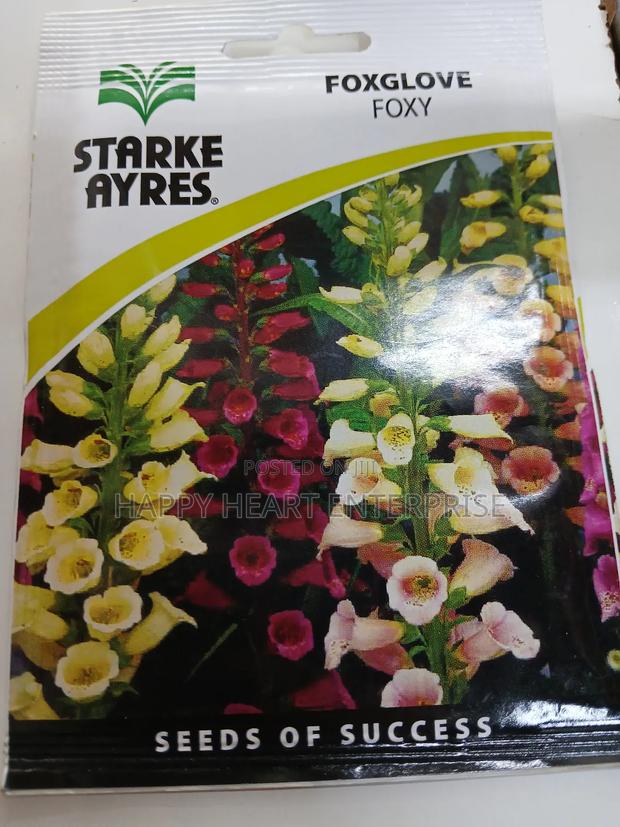 Foxglove Foxy Flower Seed 1g - thumbnail 3