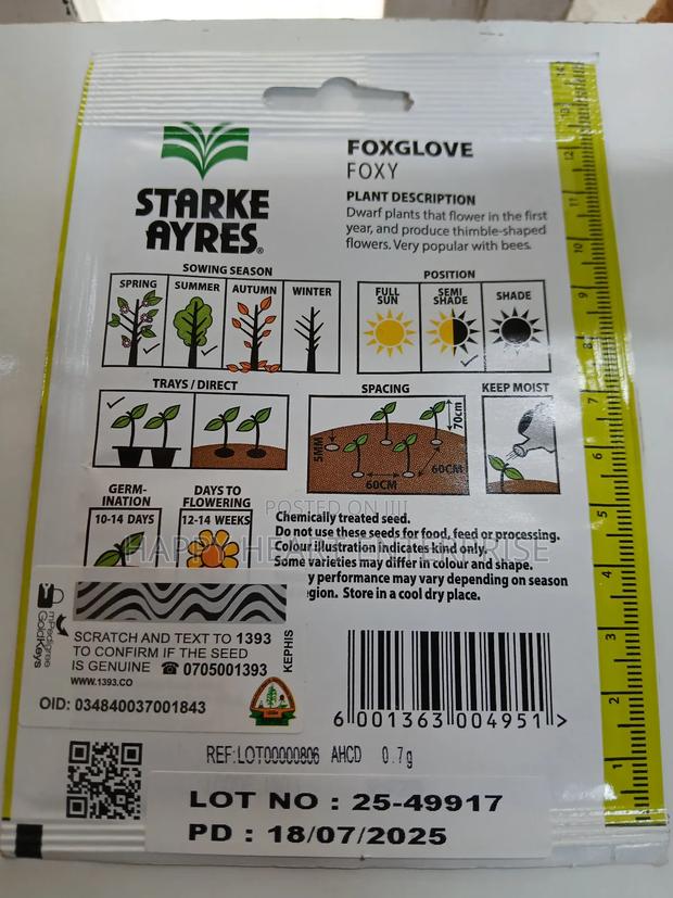 Foxglove Foxy Flower Seed 1g - thumbnail 4