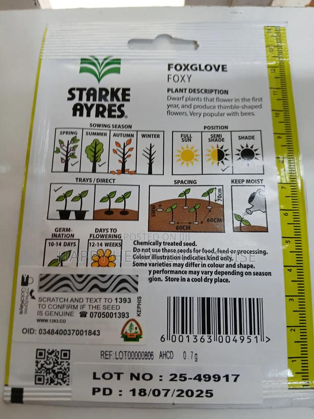 Foxglove Foxy Flower Seed 1g - thumbnail 5