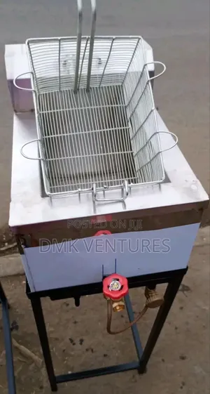 Extravagant Gas Single Deep Fryer