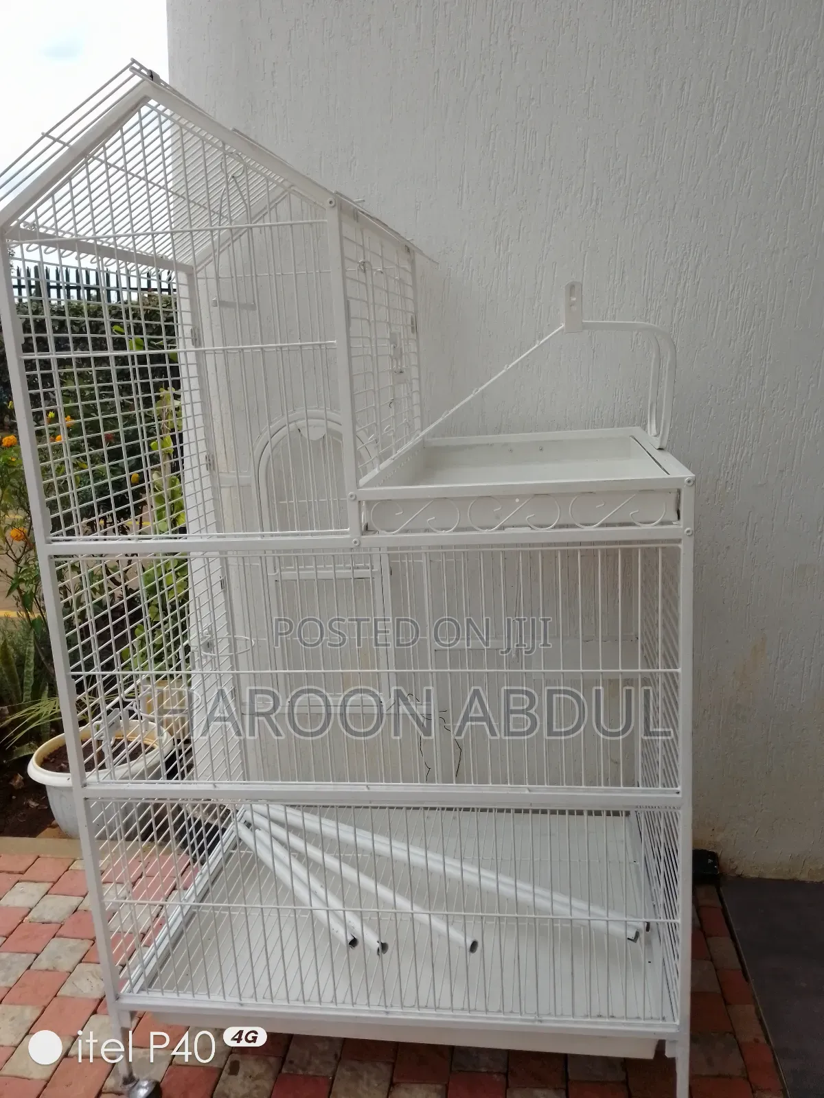 Parrot Cage