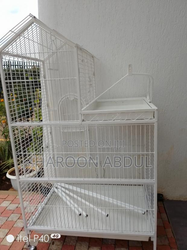Parrot Cage - main view