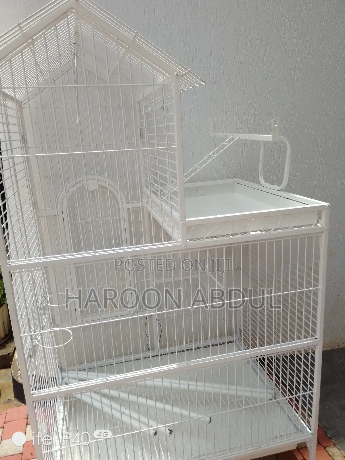 Parrot Cage