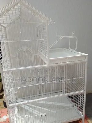 Parrot Cage