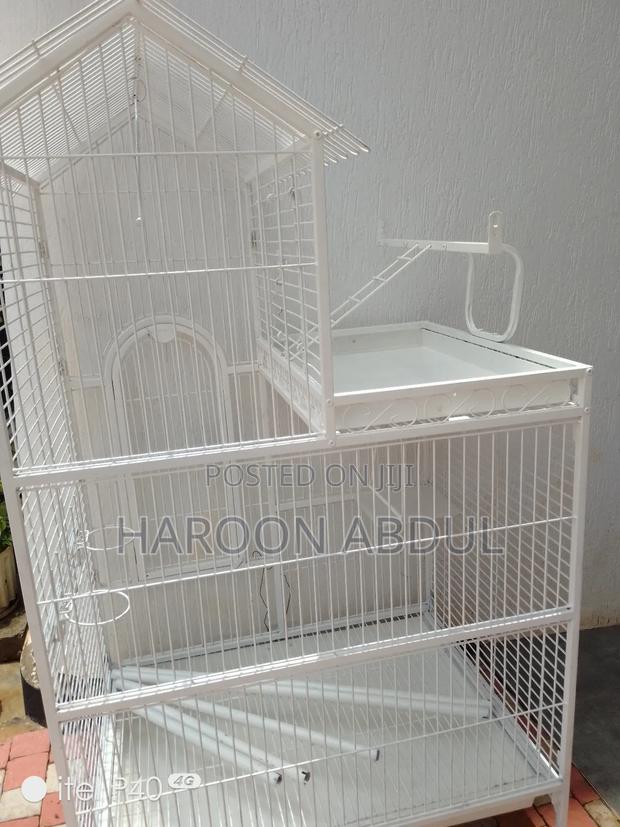 Parrot Cage - thumbnail 3