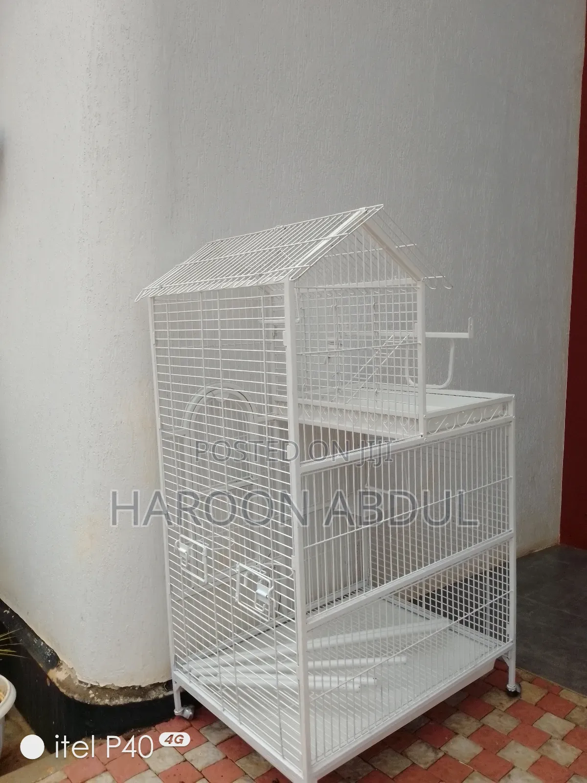Parrot Cage