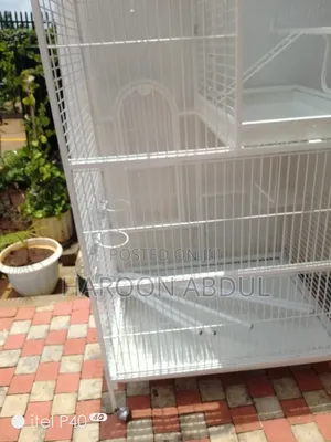 Parrot Cage