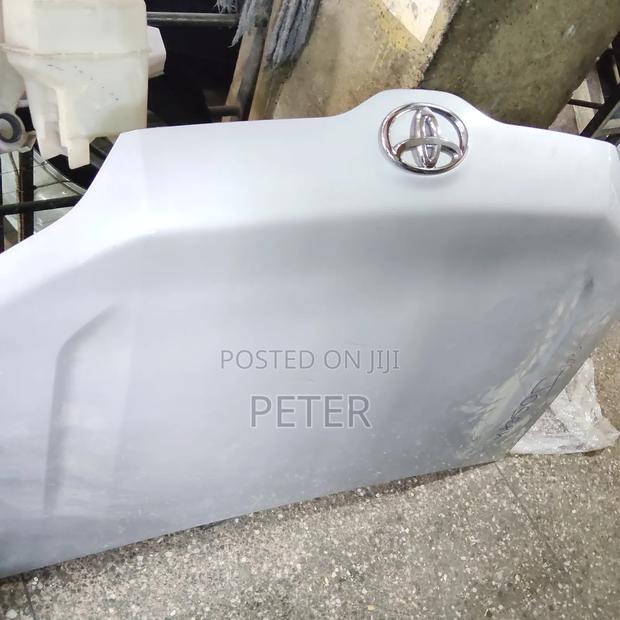 Bonnet Probox 2015