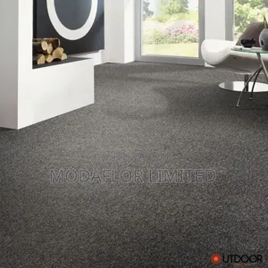Luxury Wall-to-Wall Carpet for Homes and Officessoft, Elegant