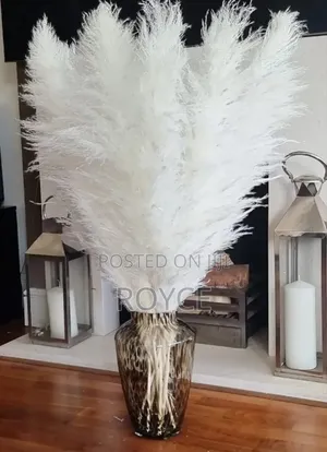 15pcs Dried Pampas Grass