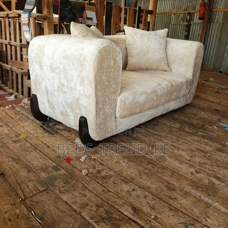 Modern Plush 2 Seater Couch